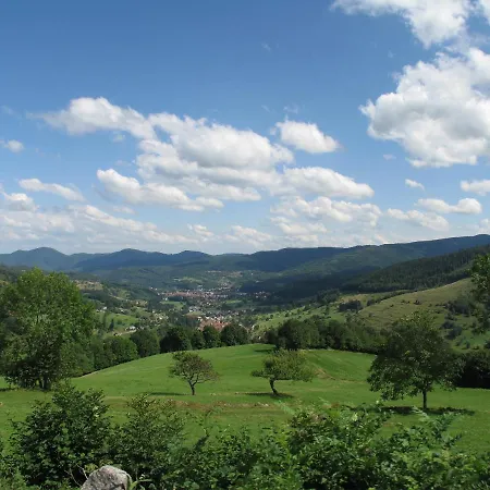 Daire Du Parc - Acces Piscine Et Munster (Haut-Rhin)